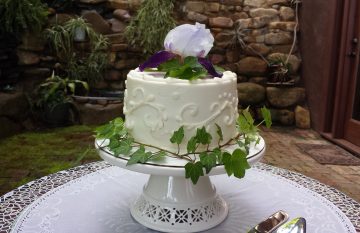 Petite Sweets wedding cake at Storybrook Farm