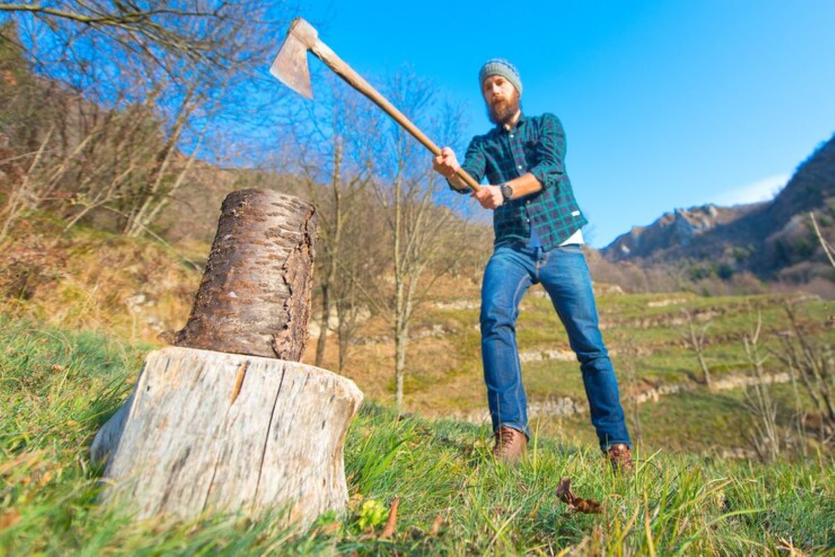 tree removal