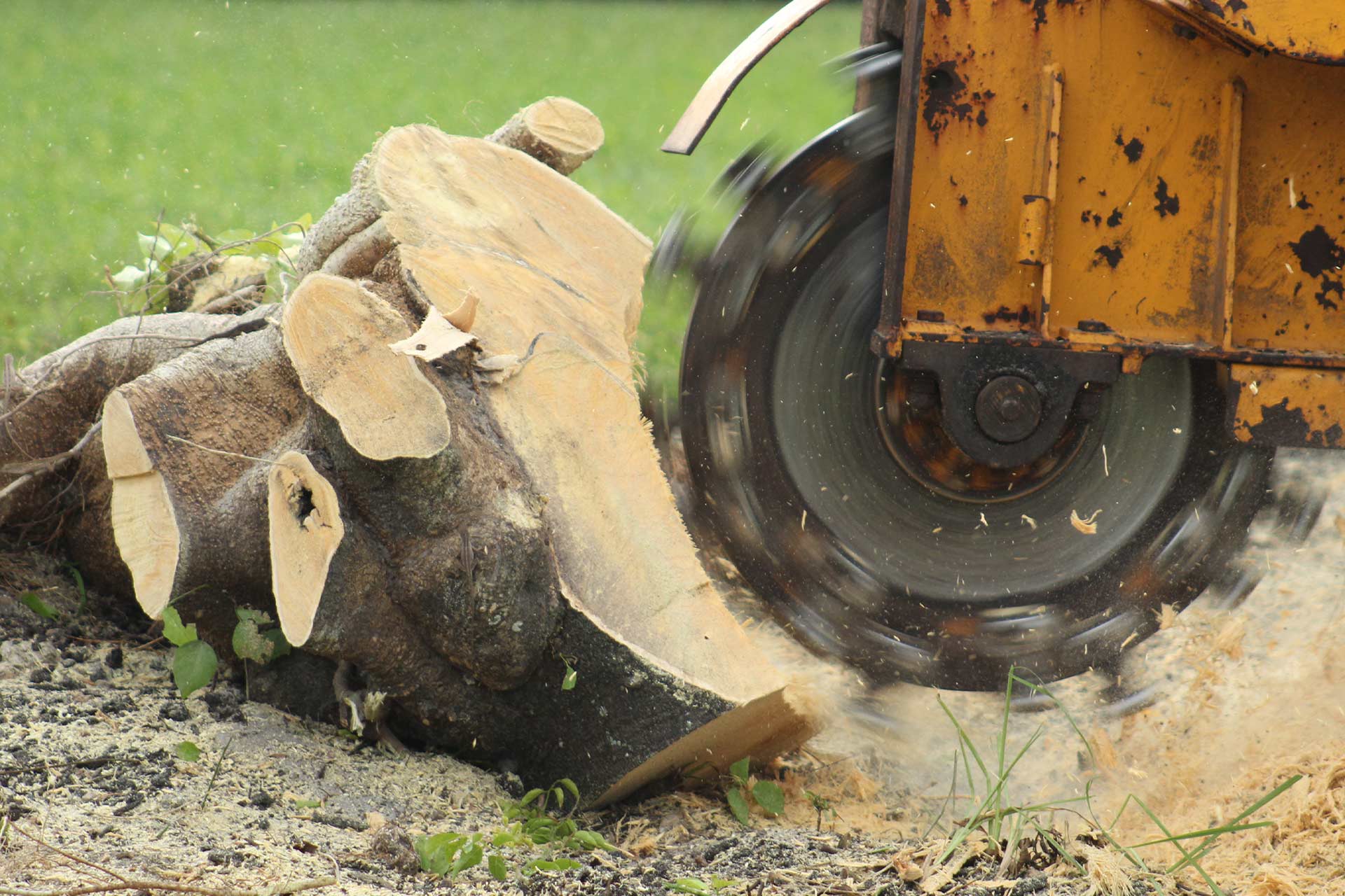 Sydney Stump Grinding