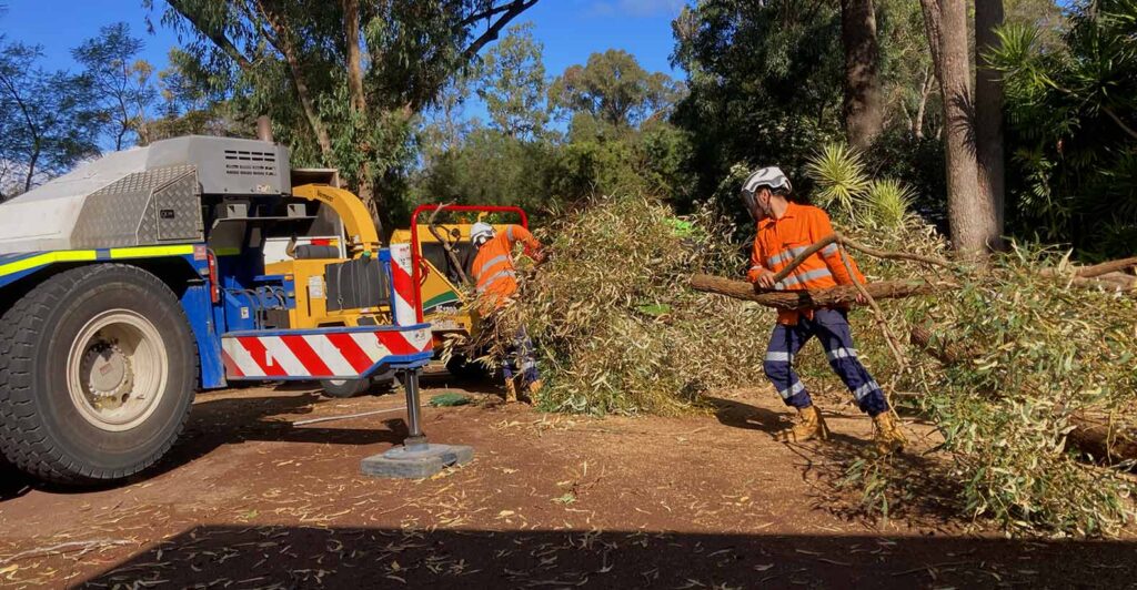 Sydney Stump Grinding