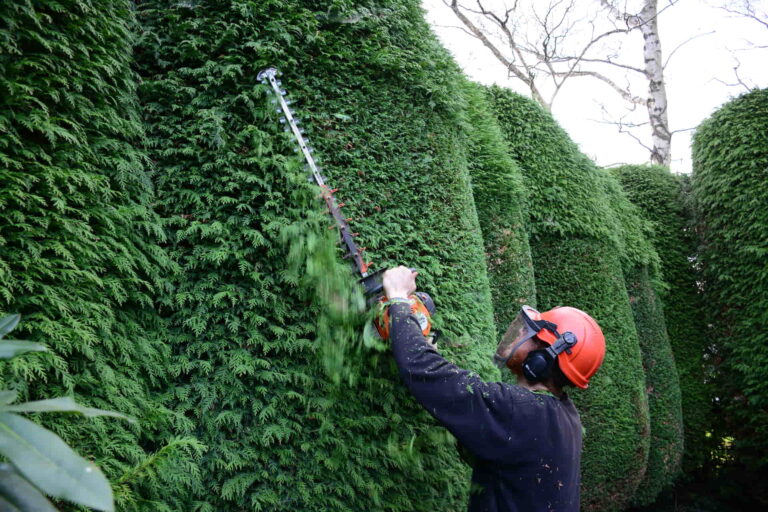 Hedge Trimming