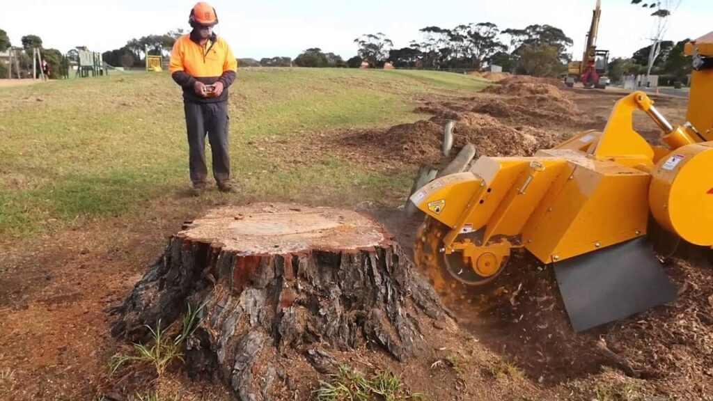 Sydney Stump Grinding