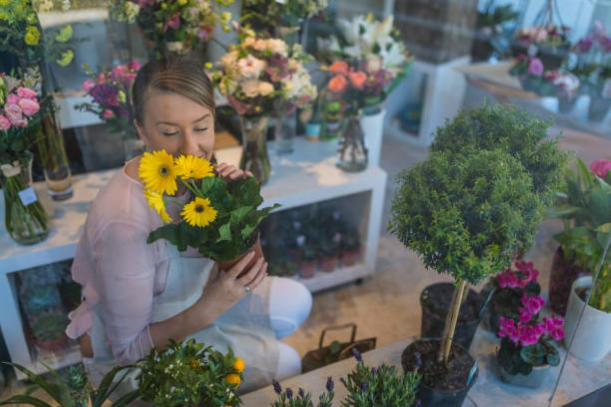 Lane Cove florist