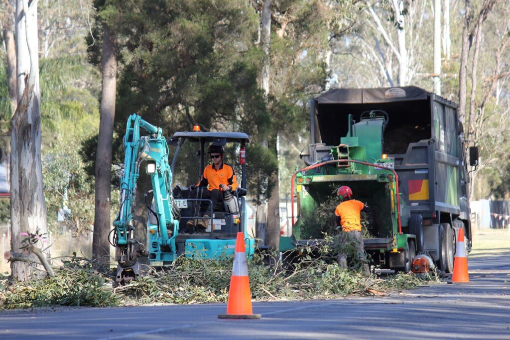 Tree Pruning Sydney as a Reflection of Environmental Responsibility