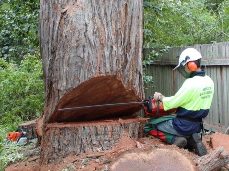 Tree Removal Pymble