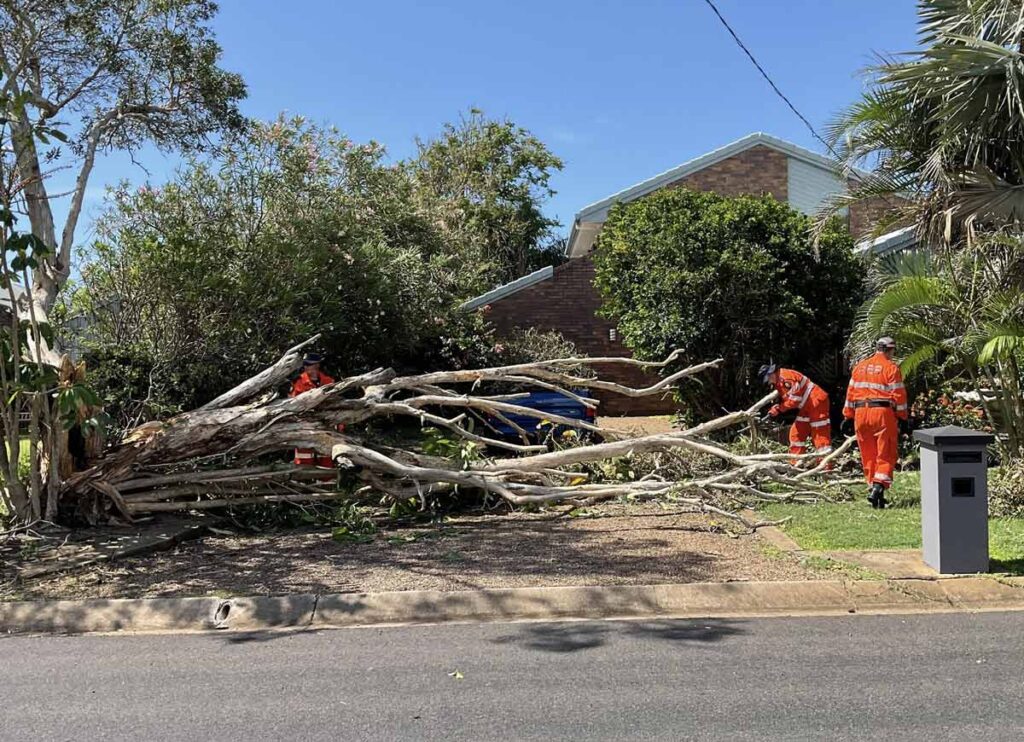 Tree Removal Pymble