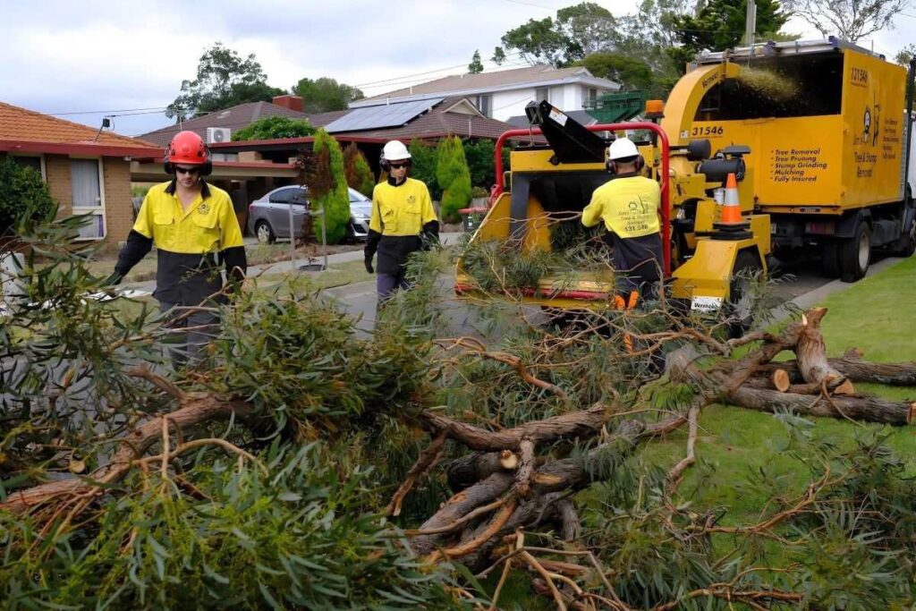 Tree Removal Pymble